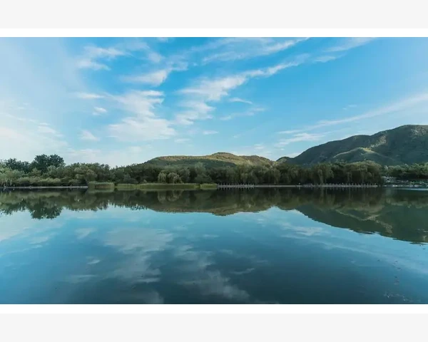 心脏早搏——气血不足的背后隐藏的健康危机